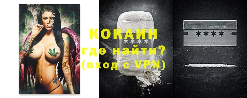 где можно купить   Опочка  COCAIN VHQ 