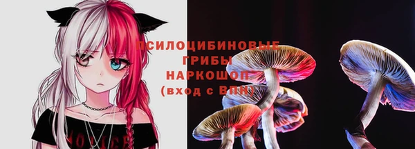 герыч Магас