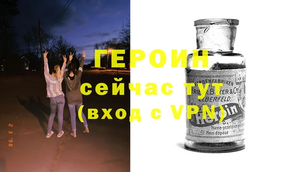 индика Ладушкин